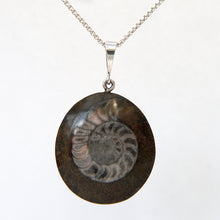 Load image into Gallery viewer, Ammonite Fossil Pendant