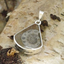 Load image into Gallery viewer, ammonite jet double sided pendant