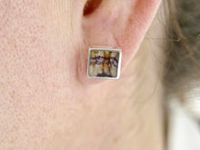 Load image into Gallery viewer, Blue John Square Stud Silver Earrings