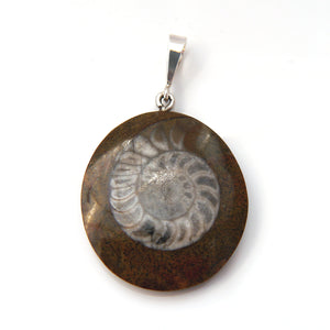 Ammonite Fossil Pendant