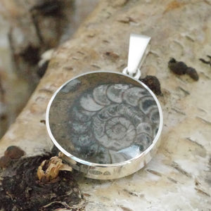 ammonite and jet double sided pendant