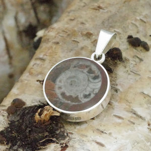 ammonite and tigers eye reversible pendant