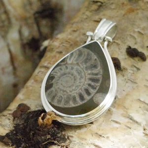 Ammonite and Labradorite reversible pendant